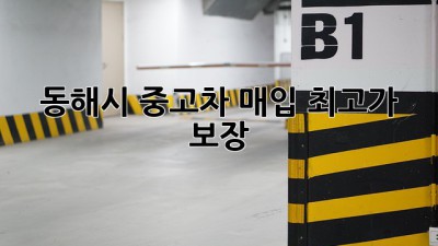 동해시 중고차 매입, 최고가 보장!